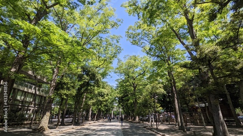 神社の境内