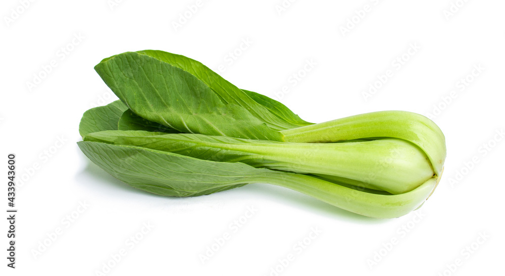 Bok choy vegetable (chinese cabbage) isolated on white background Bok choy vegetable (chinese cabbage) isolated on white background
