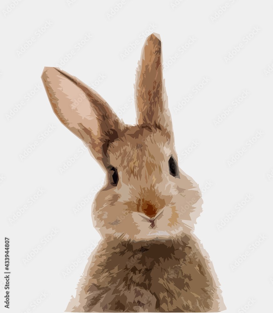 rabbit drawing, textile printing, textile graphics, t-shirt printing ...