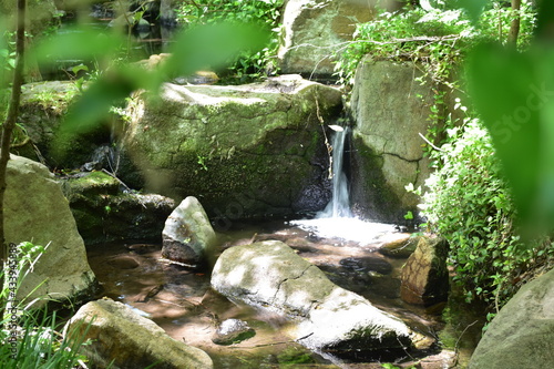 森の中に流れる小さな川
