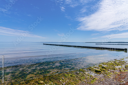 Wallpaper Mural The Baltic Sea coast in Redewisch near Boltenhagen, Mecklenburg-Western Pomerania, Germany Torontodigital.ca
