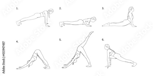 Yoga vinyasa for strength and energy accumulation. Yogi girl in hatha sequence. Vector illustration isolated in white background