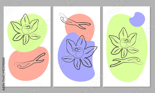 Print. Style line art. Vanilla flowers and sticks on geometric abstract shapes with bright white background