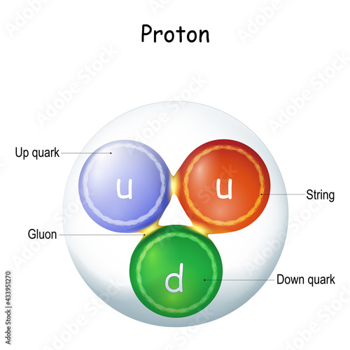 Structure of a gluon. elementary particle