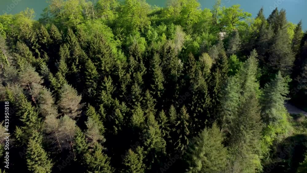 Aerial drone view of forest and lake. Beautiful landscape. Plivska jezera, Jajce, BiH. Aerial drone view of forest and lake. Beautiful landscape. Plivska jezera, Jajce, BiH.