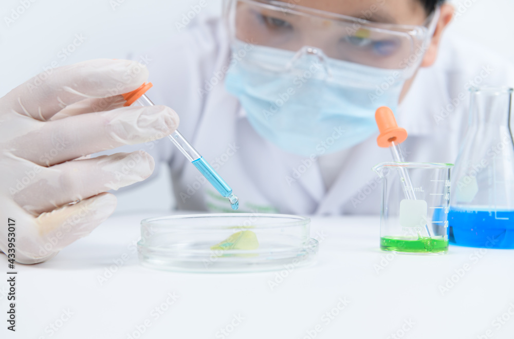 A young scientist is using a dropper to drop a blue liquid onto a leaf. A young scientist is using a dropper to drop a blue liquid onto a leaf.