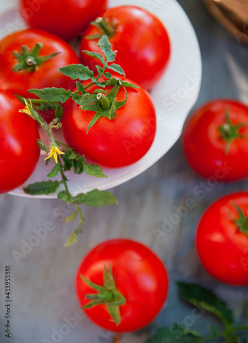 fresh red tomatoes on a white plate © pominova