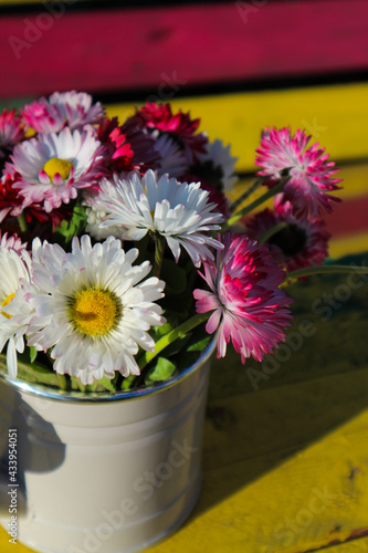 Wallpaper Mural beautiful summer flowers in an iron watering can on a wooden background Torontodigital.ca