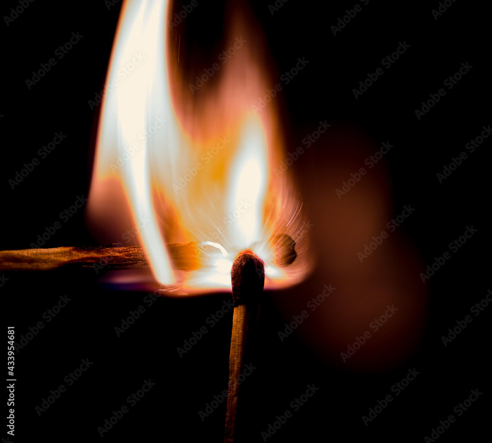 The Fire The Fire