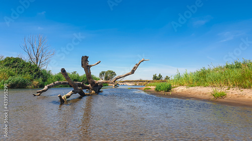 Nida river flowing in the nearby of Krzyzanowice Dolne in Poland. The banks of the river are overgrown with lush green grass. Clear, blue sky. Outdoor activity photo