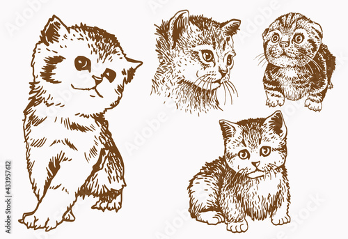 Fototapeta Naklejka Na Ścianę i Meble -  Domestic cats on sepia background,vector elements 