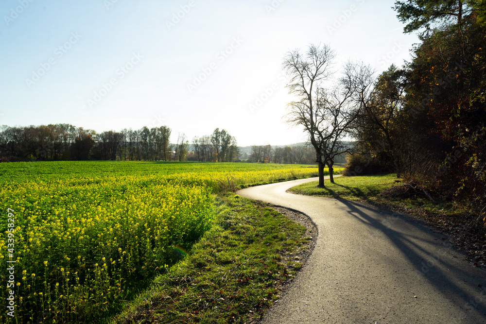Obraz premium Weil der Stadt Senffeld