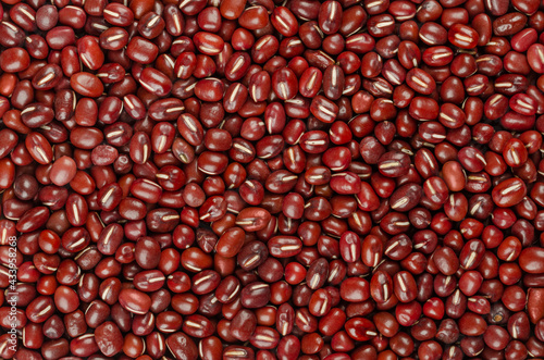 Adzuki beans, background, from above. Also called azuki bean, aduki, red or red mung bean. Whole raw fruits of Vigna angularis, used cooked, as red bean paste, or sprouted. Backdrop. Macro food photo. photo