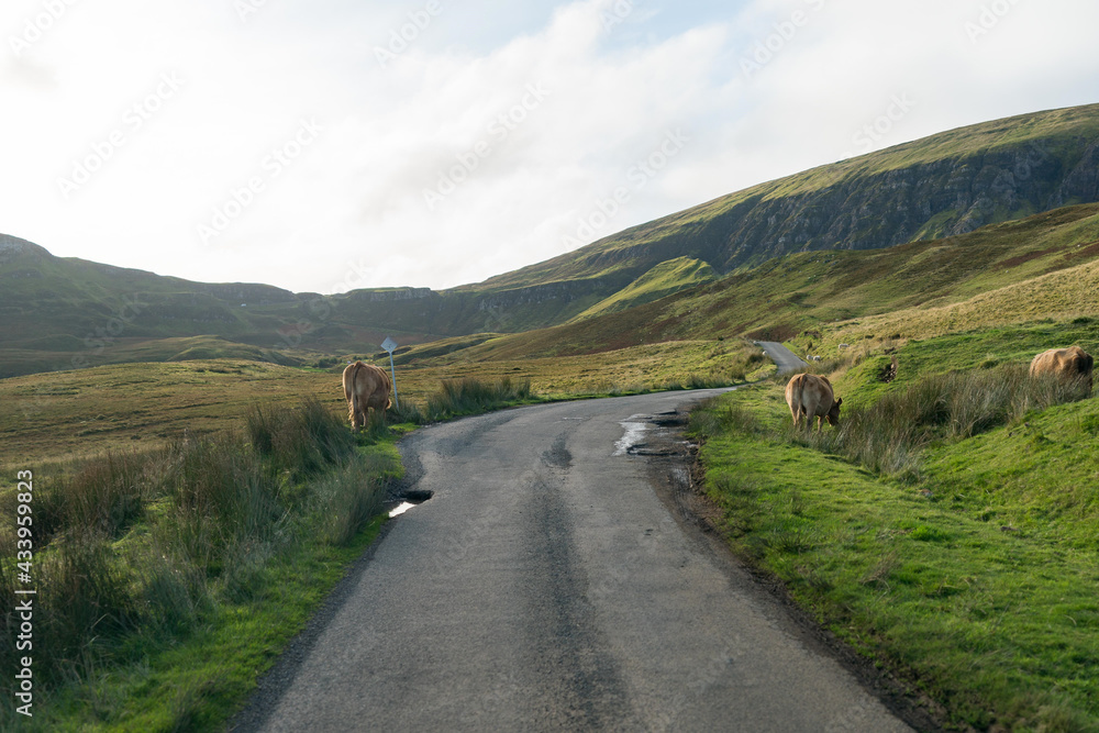 Road to the Quiraing Viewpoint.