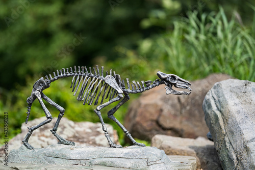 Skeleton of horse Eohippus as very nice model. Prehistoric skeleton. photo