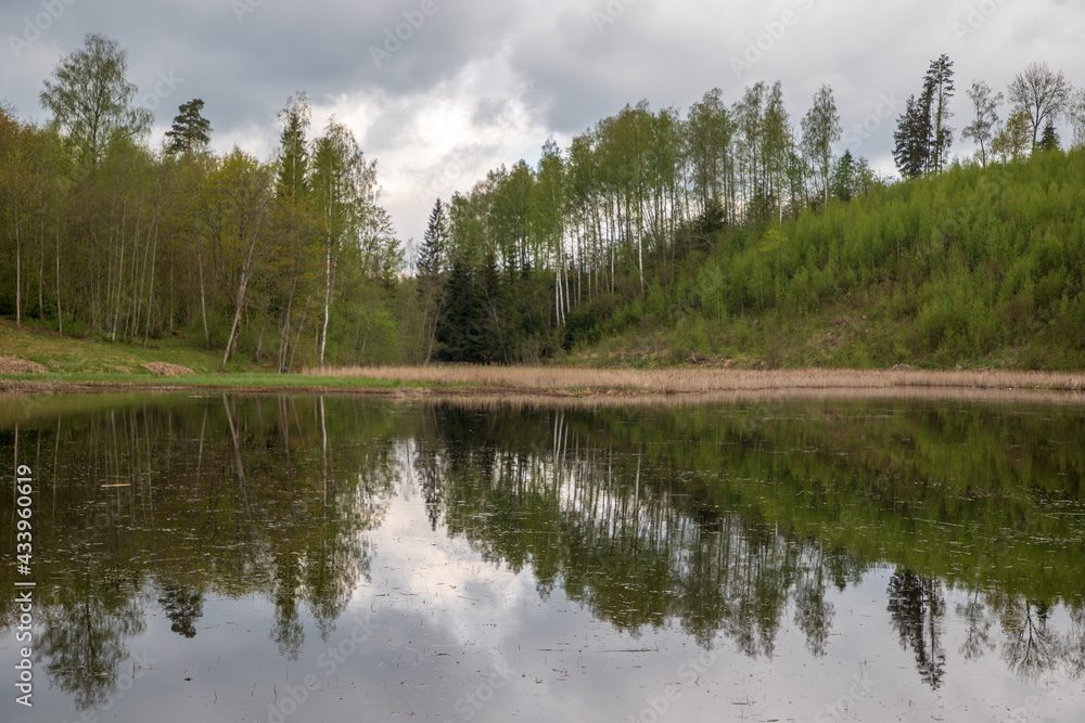 Obraz premium lake in the forest