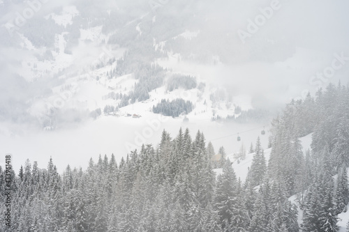 Winter landscape of frosty trees on foggy background.