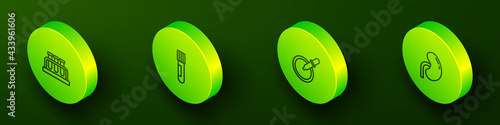 Set Isometric line Test tube and flask, , Petri dish with pipette and Human kidney icon. Vector