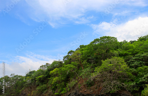 Blue sky and trees in Pedasí  © Ricord Photos