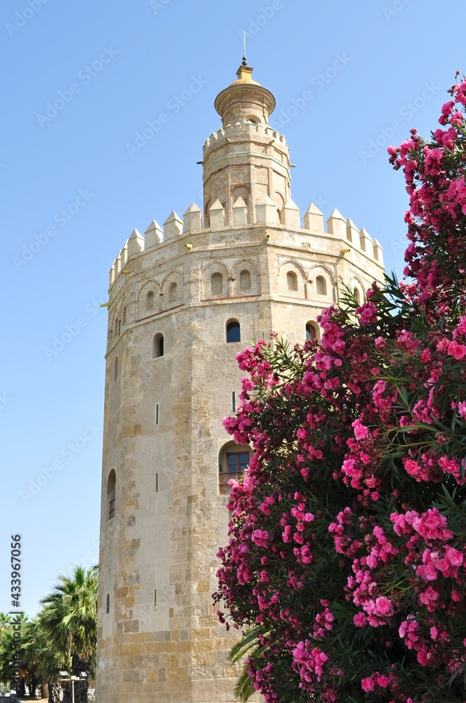 Fototapeta premium Tower of Gold (Torre del Oro) on Seville embanmkent, Spain