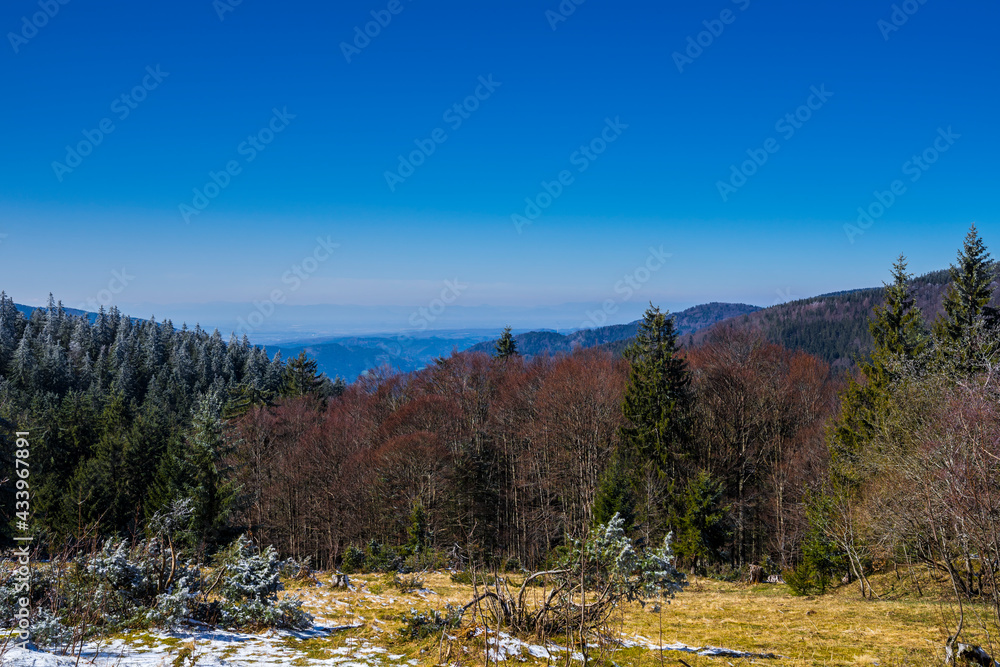 Germany, Schwarzwald panorama mountain view above black forest, trees and endless valleys and mountains on sunny day