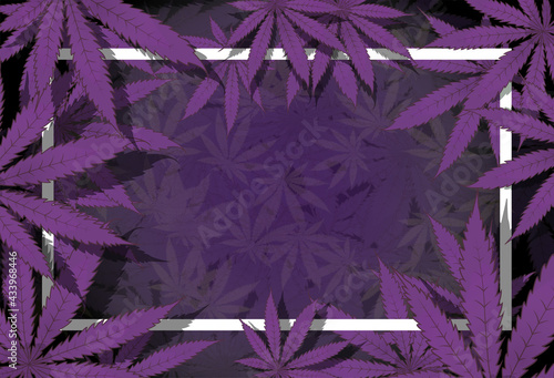 Purple cannabis leaf marijuana background.
