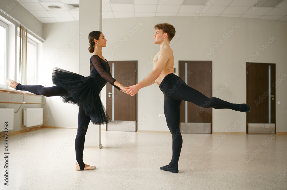 Obraz premium Female and male ballet dancers in action