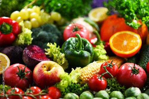 Composition with variety of fresh organic vegetables and fruits