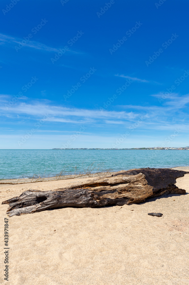 Old wood snag on the beach. Abkhazia. Beautiful blue sky and azure sea