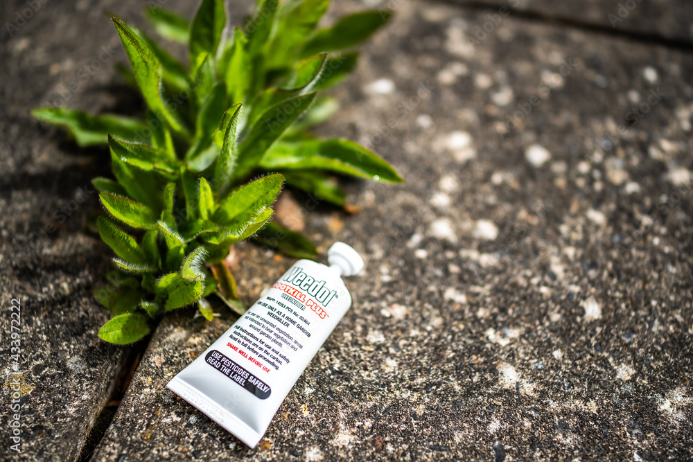 Fotografia do Stock Selective and intentional focus on a tube of