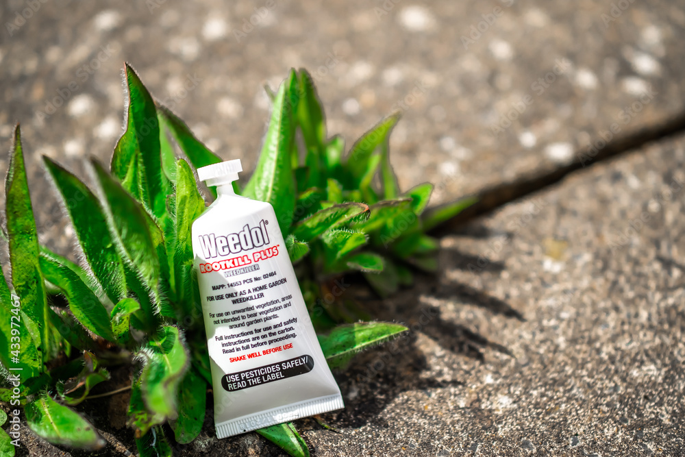 Norwich, Norfolk,UK May 15 2021. Selective and intentional focus on a