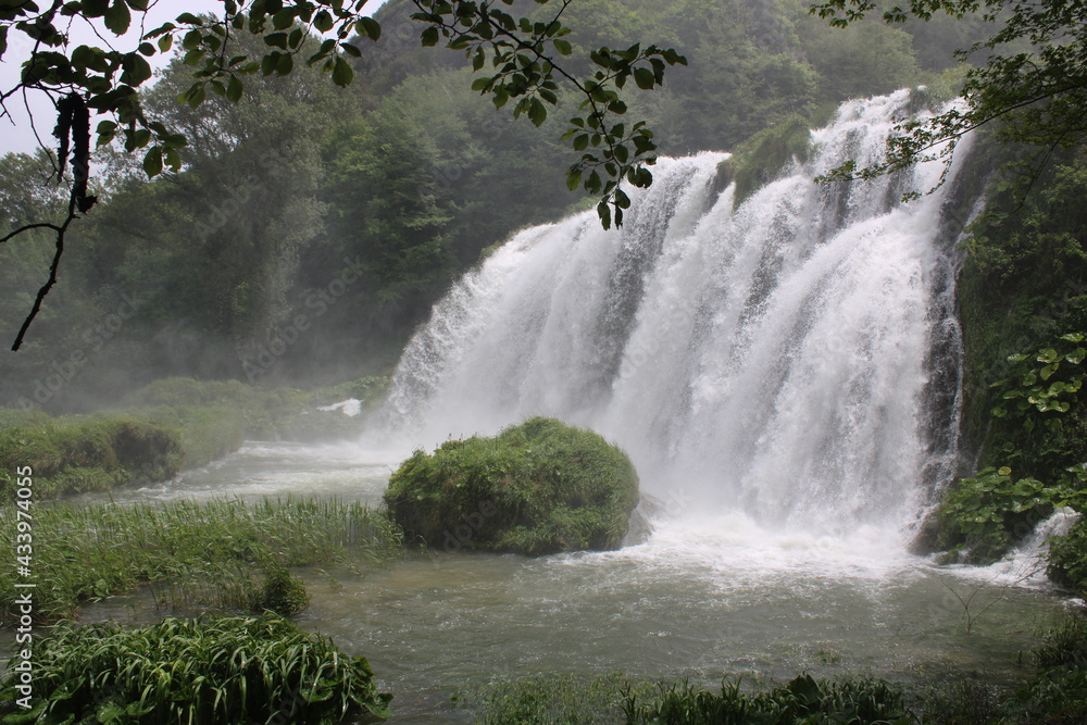 Naklejka premium waterfall in the forest