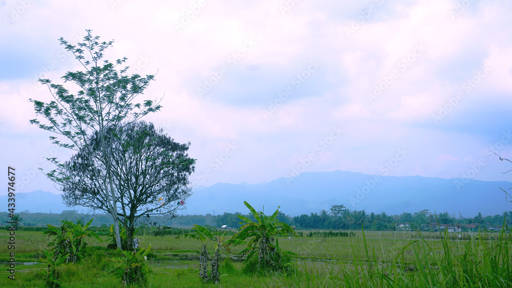 Obraz premium Landscape