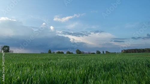 4k video time lapse with Cinemagraph. White clouds moving in blue sky, road traffic seen in distance on horizon line, green young winter crops in foreground with cinemagraph effect without motion