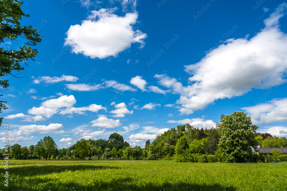 Obraz premium field and blue sky with clouds
