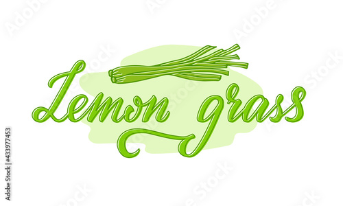 Vector illustration of lemon grass lettering for packages, product design, banner, spice shop, pharmacy price lists. Handwritten phrase for web or print
