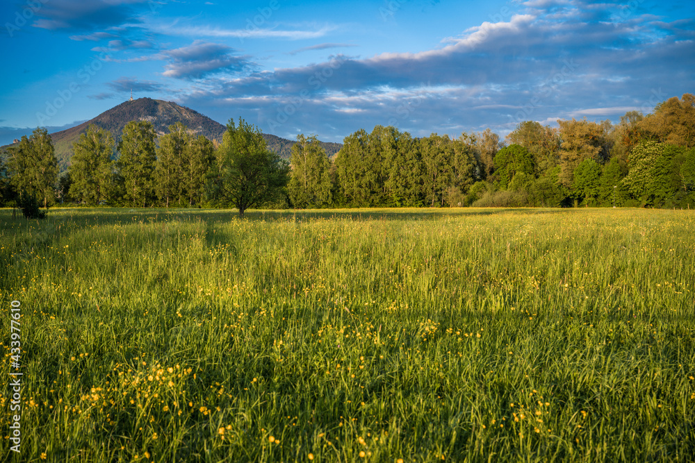 landscape with grass and sky mount Gaisberg in Salzburg Leopoldskron