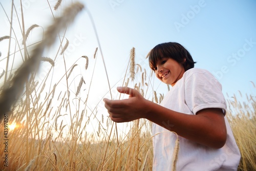 Kid at wheat field holding grain