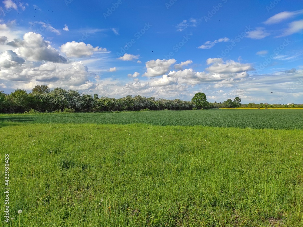 Fototapeta premium Hannover Bemerode