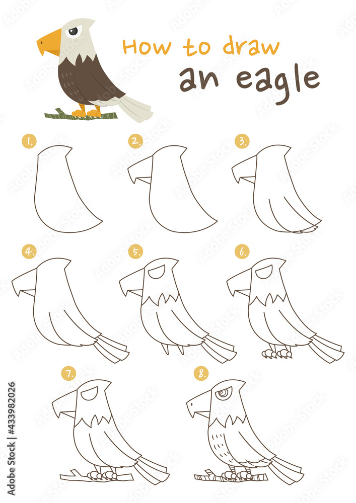 Easy! How to Draw a Bald Eagle Face - PaintingTube