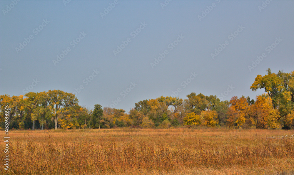 Obraz premium Colorful fall landscape along a small rural stream