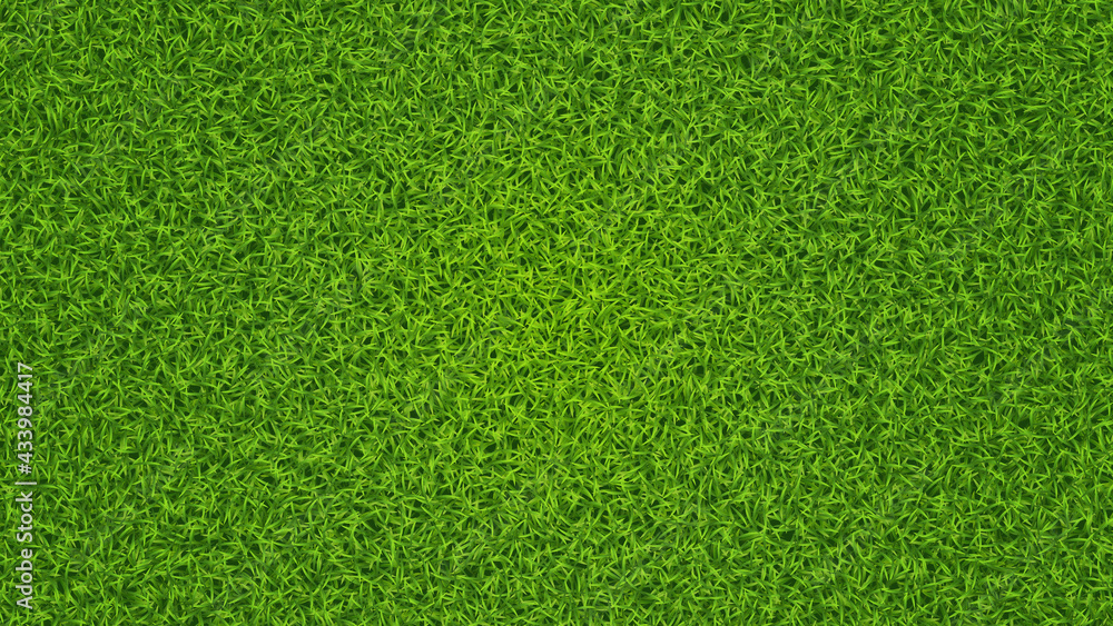 Green grass vector texture. Fresh lawn summer grass background
