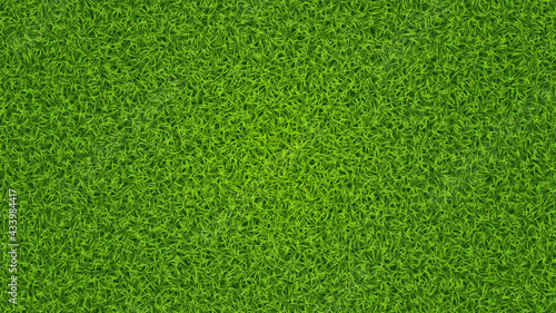 Green grass vector texture. Fresh lawn summer grass background