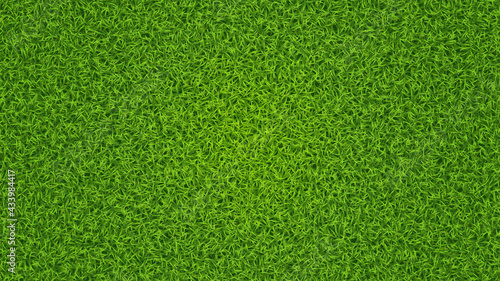 Green grass vector texture. Fresh lawn summer grass background