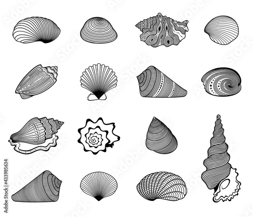 Vector set of abstract, decorative, outline seashells in black color, isolated, on white background.