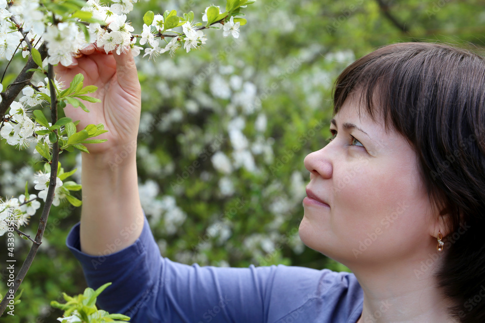 Young woman enjoys the smell of cherry blossom. White flowers in spring garden, romantic portrait of happy female inspired by nature, concept of happiness and romance Young woman enjoys the smell of cherry blossom. White flowers in spring garden, romantic portrait of happy female inspired by nature, concept of happiness and romance