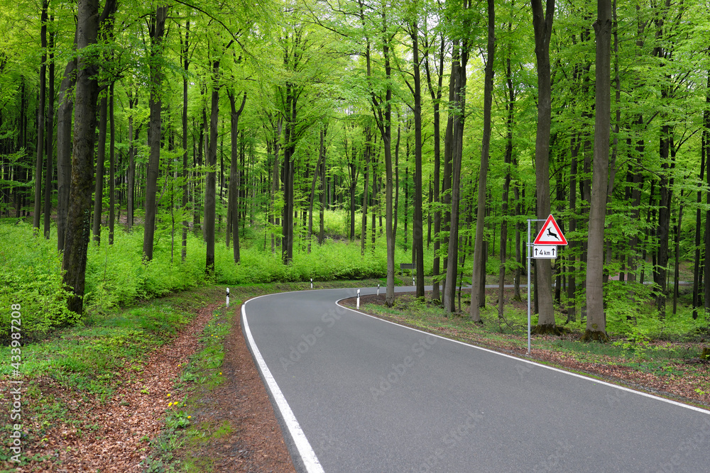 Straße durch Wald und Verkehrsschild mit dem Verkehrszeichen ...