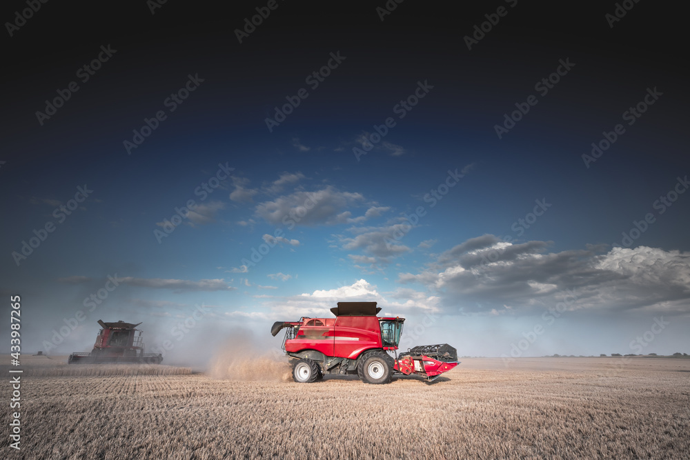 Obraz premium Mechanized harvesting of grain in an agricultural field. Bright, evening, summer landscape with a combine harvester. Idyllic rural background, wallpaper, design. Selective, soft focus. Tinted photo.