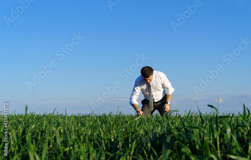 businessman walks in a field  green grass and blue sky as background