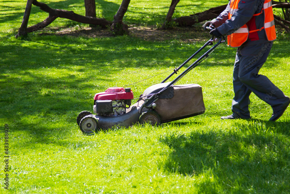 Lawn Mower. Municipal services are engaged in mowing lawns. Lawn Mower. Municipal services are engaged in mowing lawns.